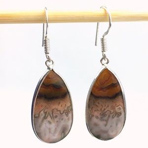 New Stick Agate Stone Silver Hook Earrings